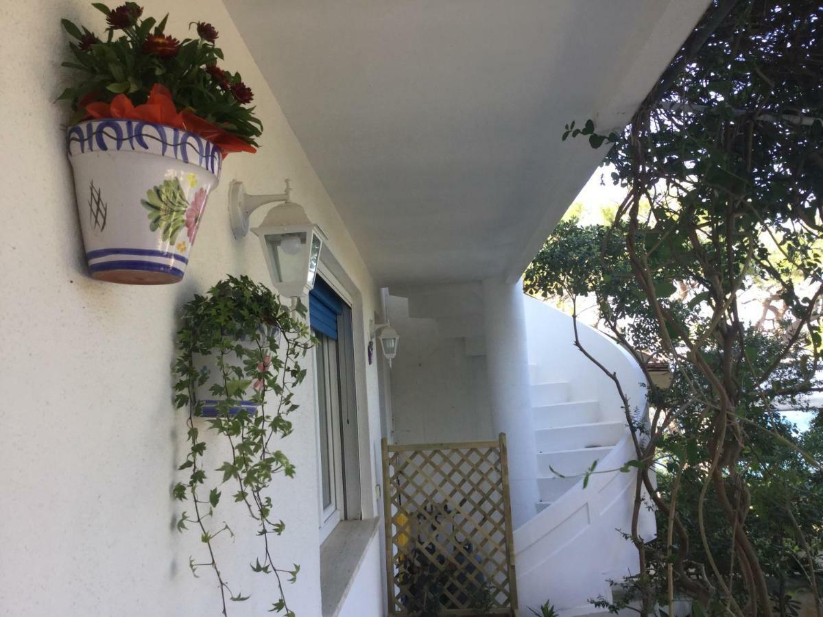 B&B Viadelmare Patu Exterior photo